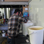 Mixing the malts