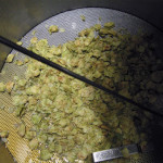 Bittering hops and first wort